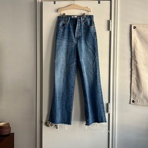Aritzia Denim Forum Wide Leg Jeans
